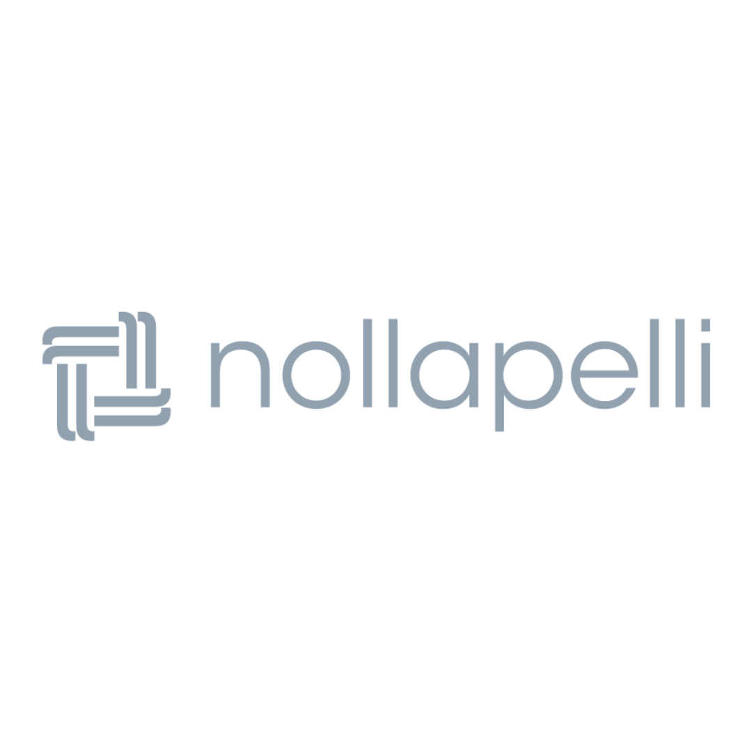 Nollapelli Logo (gift guide)